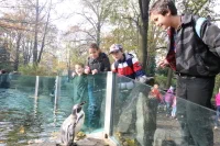 195631_92855_IMG_1522.jpg