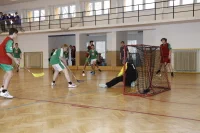 129071_52900_florbal.jpg