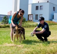87093_30085_policie_P3pes.jpg