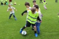 264466_136773_IMG_3710.jpg