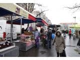 trhy_MG_0770