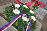 thumbnail IMG 3695 m