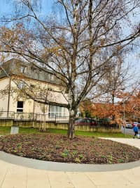 125287104 3759481194082901 6593984436243212561 o