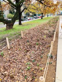 125302820 3759481590749528 1564201429792939441 o