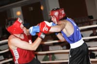 box2010_m_7733_17