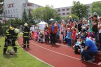 IMG_4482
