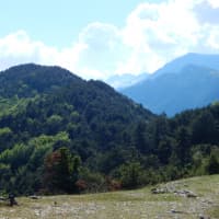 DSCN7335
