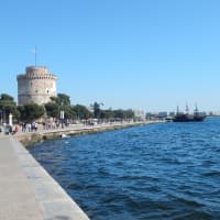 DSCN6782