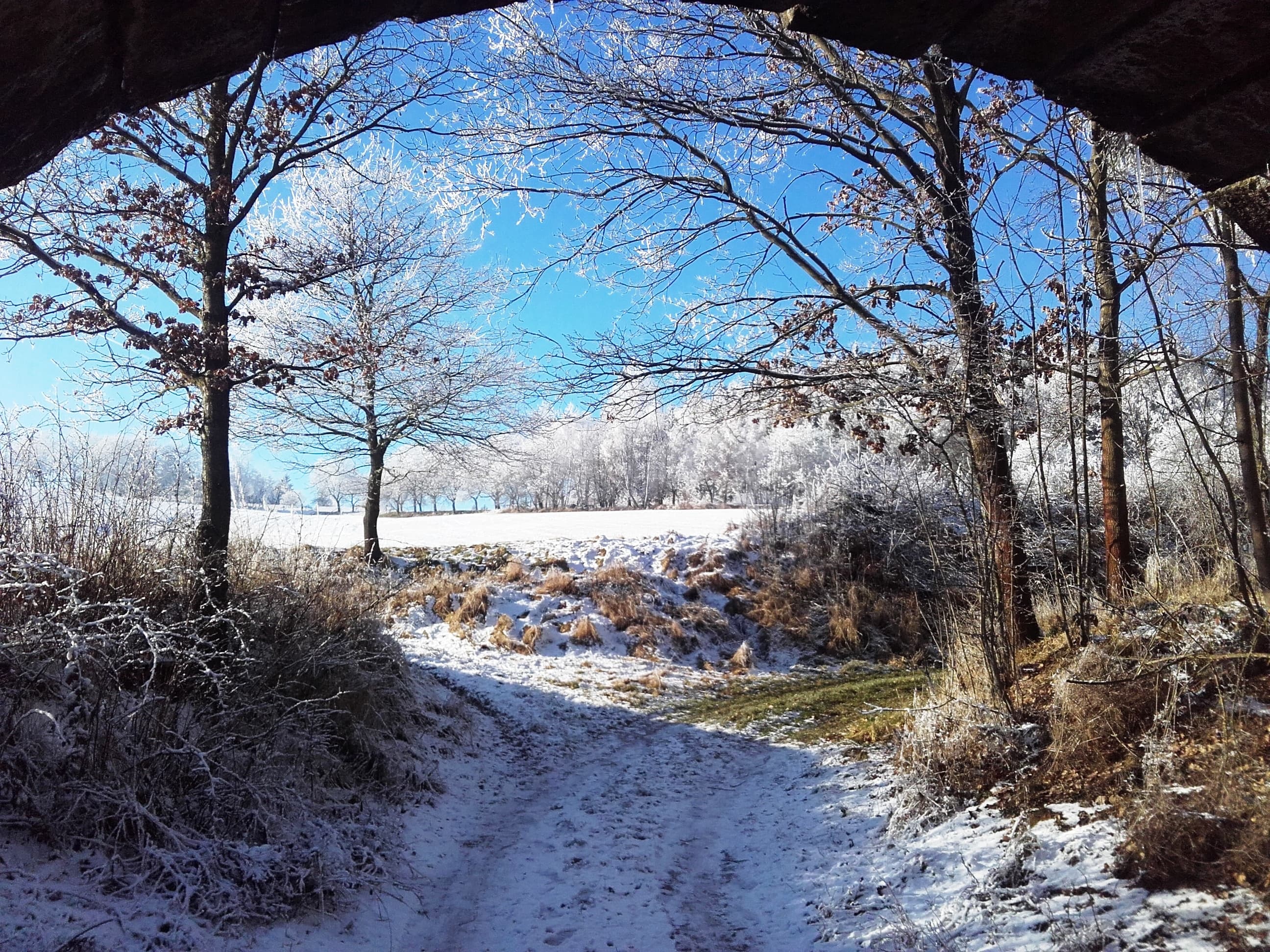 kantorský ples - fotosoutěž 1