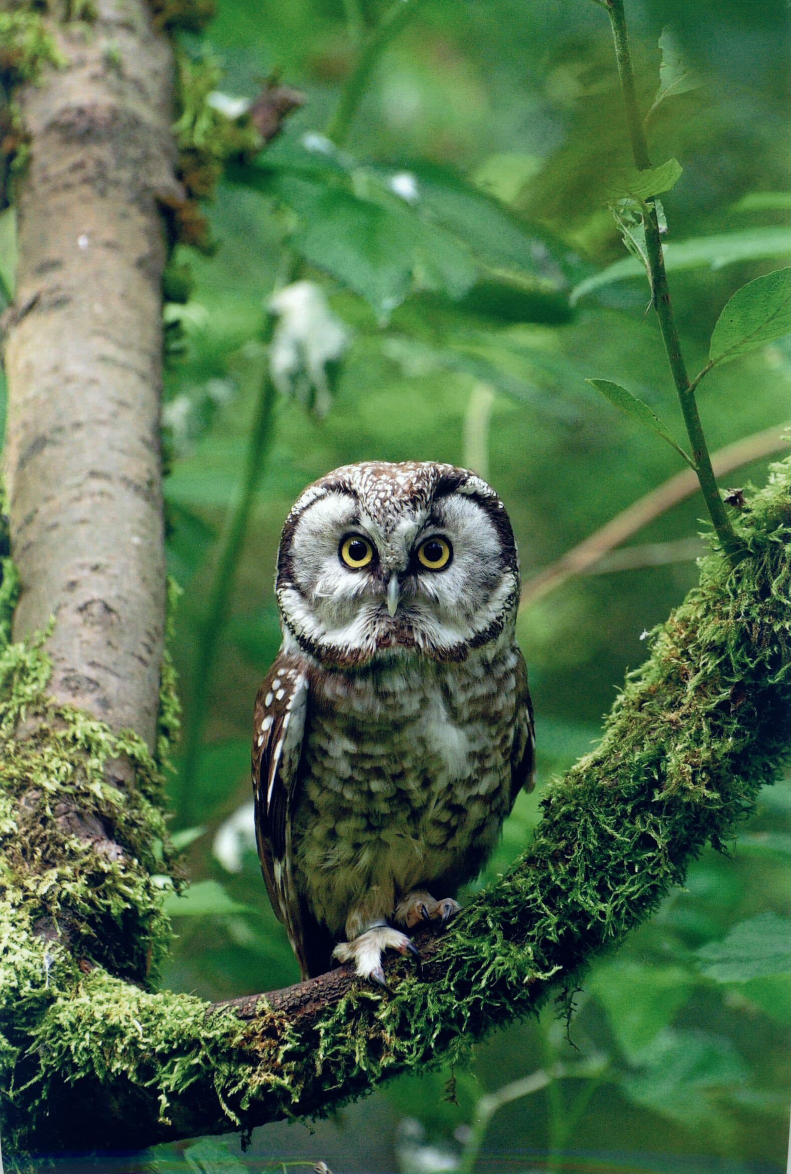 kantorský ples - fotosoutěž 4