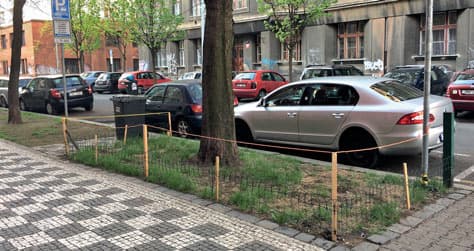 téma měsíce RN 6/2018 - sdopce stromů