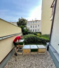 217945895 4455005881197092 4716174263965618414 n