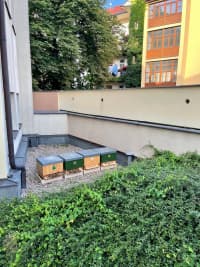 216426507 4455005541197126 6597399993814125235 n