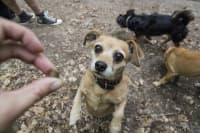 97022290 1839235936227519 6968149250198732800 n