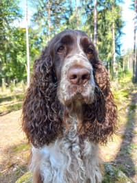 za-zizkovskou-vozovnou-Carrie