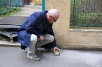IMG 7957