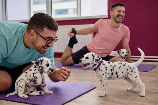yogapets
