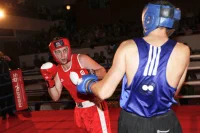box2010_m_7565_2