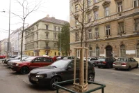 Nove_stromky_007