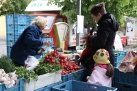 farmatrhy_7601