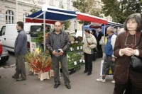 trhy_jirak_2