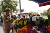 trhy_MG_0178
