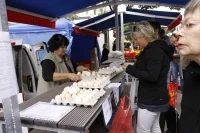 trhy_MG_0208