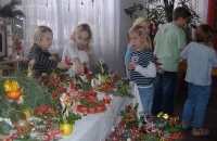 vanocni_vystava_1_vyrez