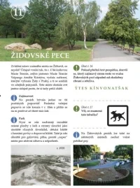 374661_196627_pece2