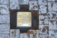 IMG 0756