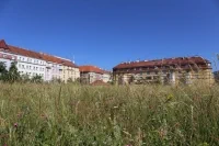 IMG 0226