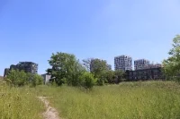 park