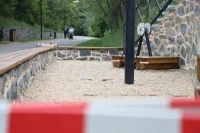 IMG 0259
