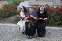 IMG 0730