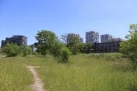park