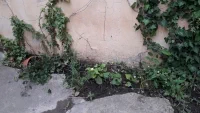 20230623 184309