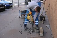 IMG 0081