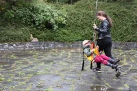 IMG 1342