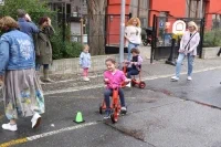 IMG 1424