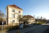 JAROV ZEL 3221