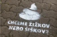 téma_psi0