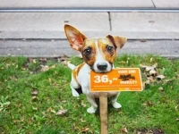 ViennaSigns-4
