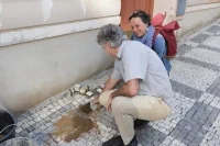 IMG 7595