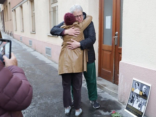 foto stein4