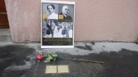 foto stein1