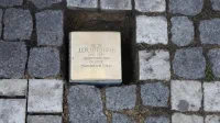 foto stein5